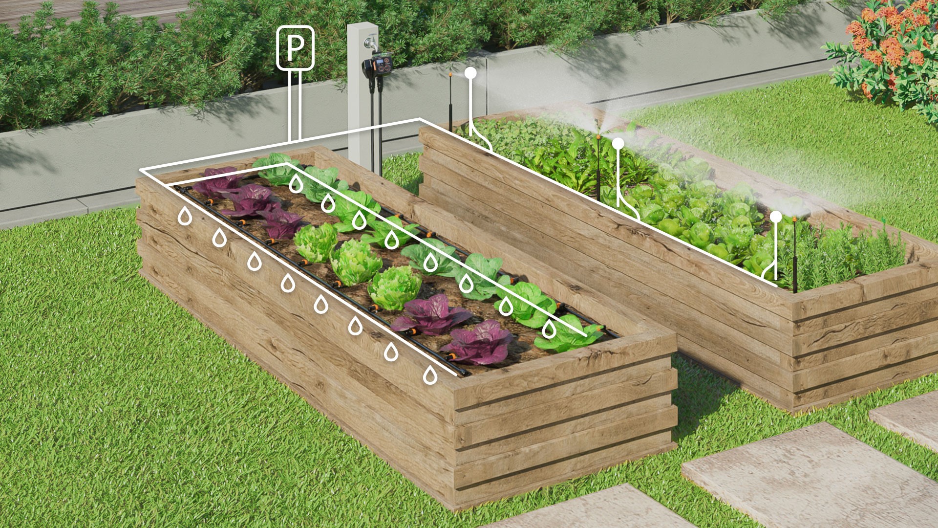 Vegetable patch