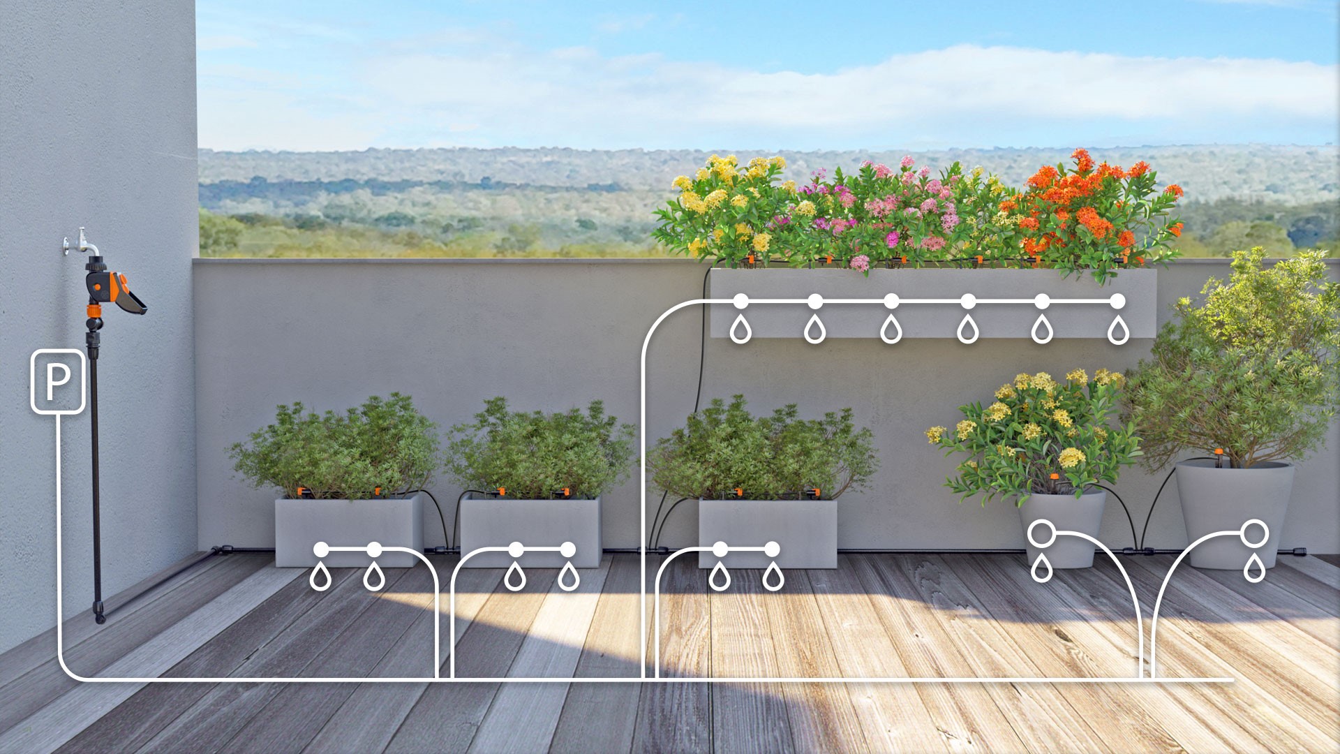 Terrace
